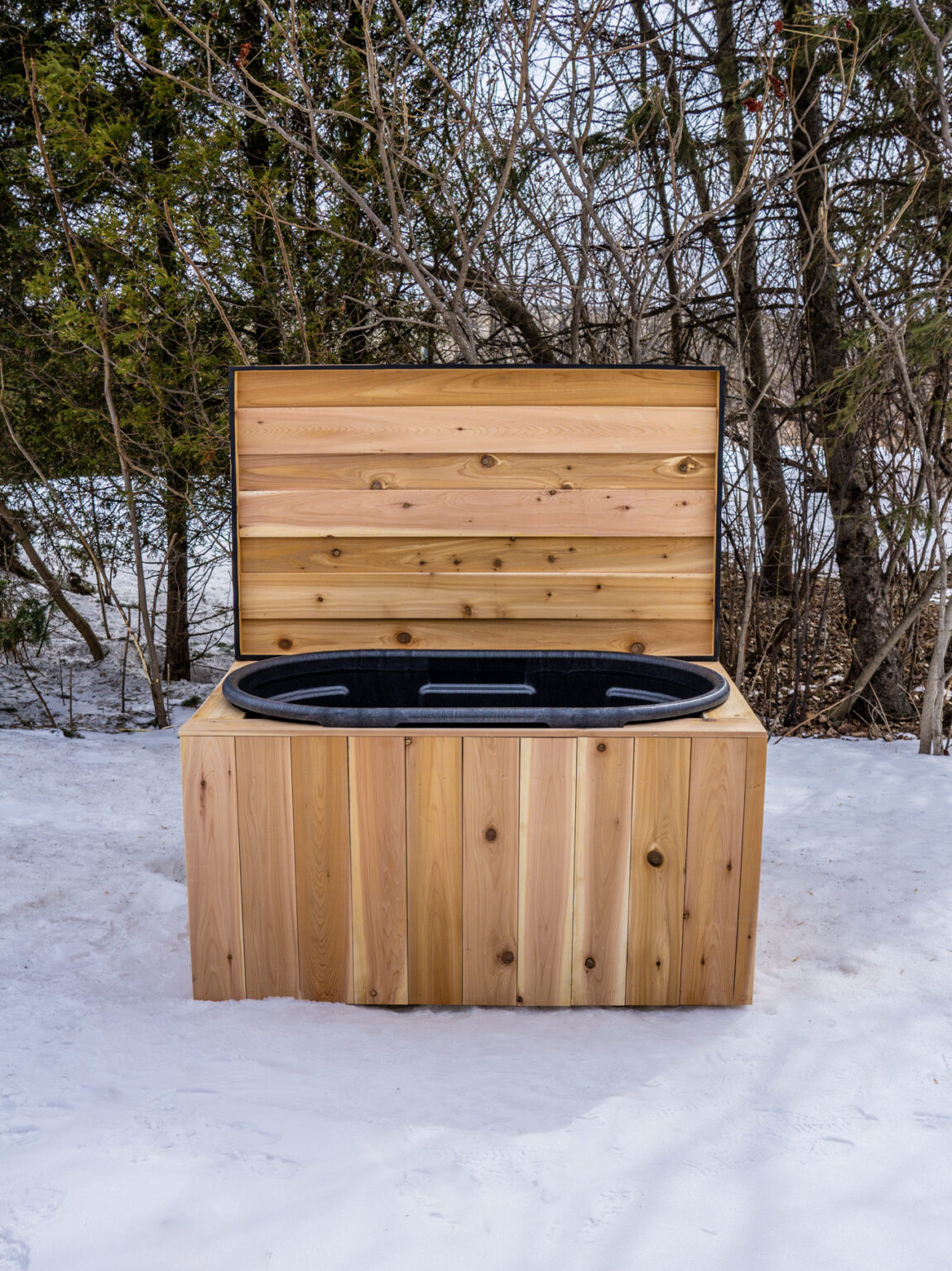 Cold Plunge (2000$)